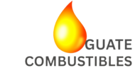 gtcombustibles.com